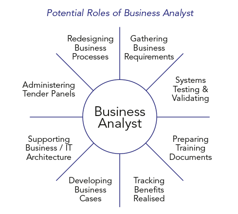 IBRS Advisory Paper 03 16 Potential roles of business analyst
