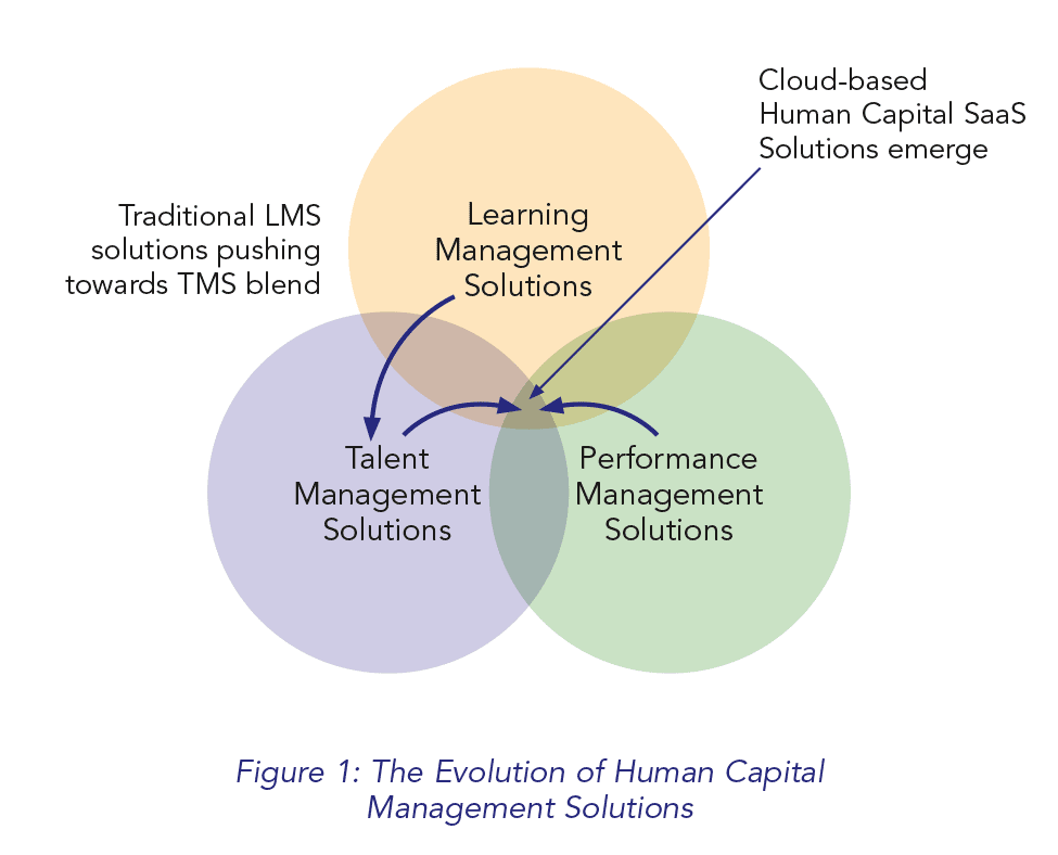 Evolution of Human Capital