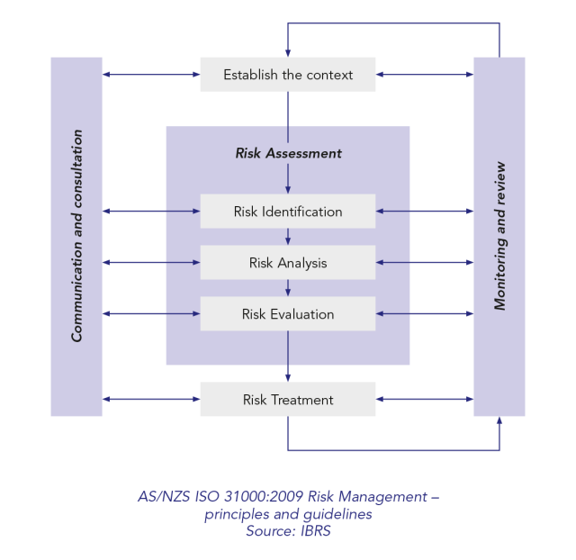 AS/NZS ISO 31000:2009 Risk Management – principles and guidelines. Source: IBRS